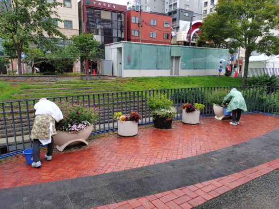 雨の中狸二条のコンテナ花壇のお手入れをする花くらぶ