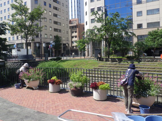 狸二条コンテナ花壇の手入れをする花くらぶ