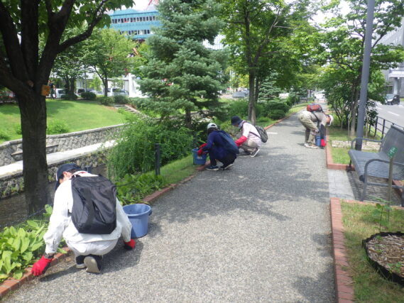 園路の除草をするお助け隊