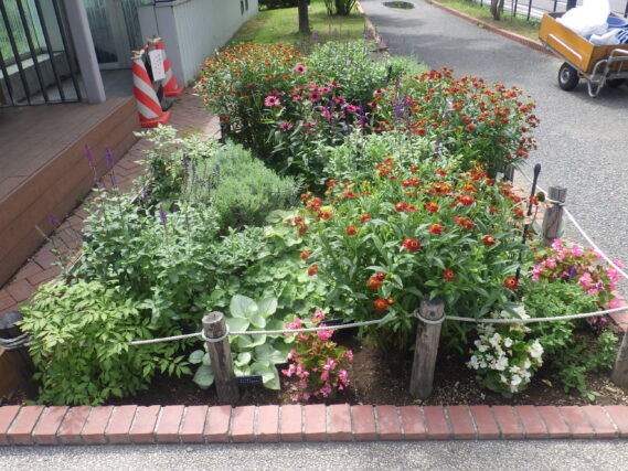 北2条の花壇の様子