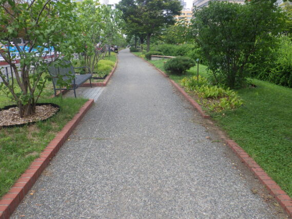 除草されてきれいになった園路