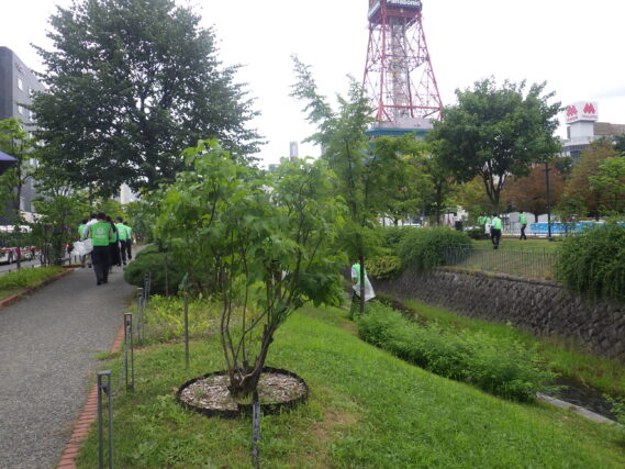 公園のゴミ拾い活動をする企業ボランティア