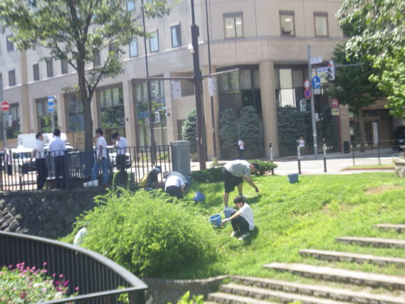 公園ボランティアの活動に参加した高校生ボランティアが除草ボランティアと一緒に芝生斜面で雑草取りをする様子