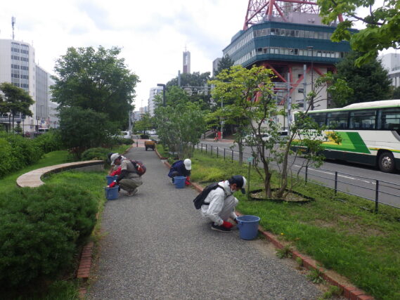 「今週の公園ボランティアと企業団体ボランティア」の画像