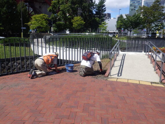 園路の除草をするお助け隊