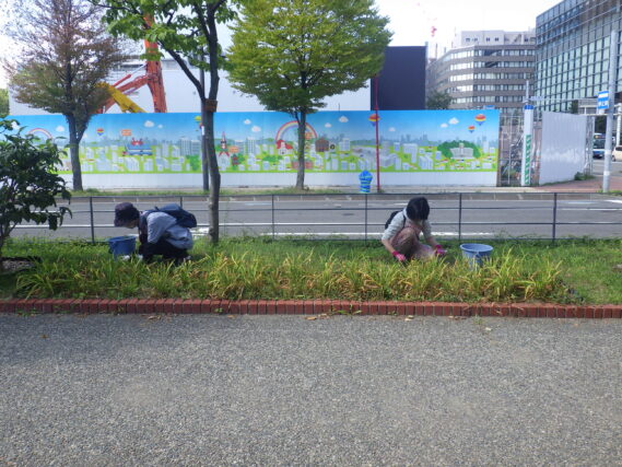 北1条西側で雑草取りをする除草ボランティア