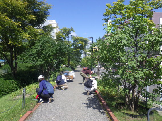 園路の除草をするお助け隊