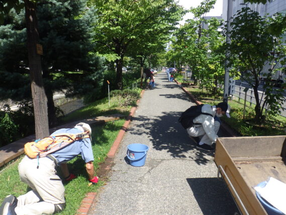 園路の除草をするお助け隊