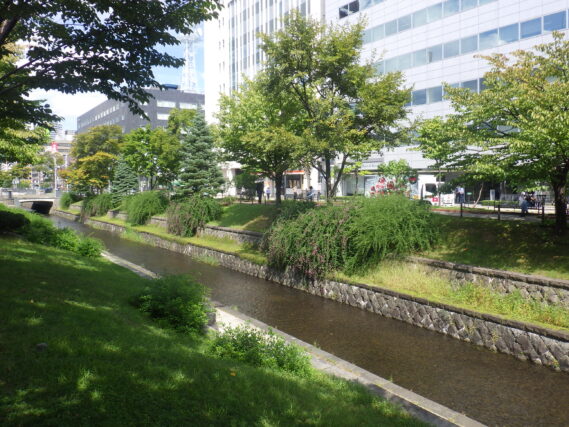 「今週の公園ボランティアとハギの花」の画像