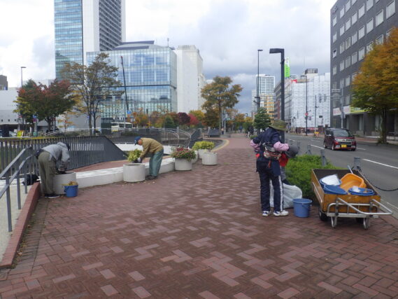 まんなか広場コンテナ花壇の花抜きをする花くらぶ
