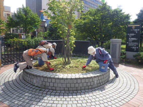 円形ますの除草をするお助け隊