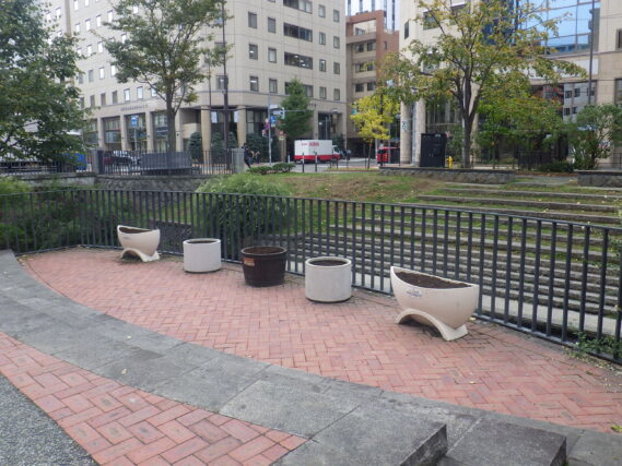 花が抜かれた狸二条広場のコンテナ花壇