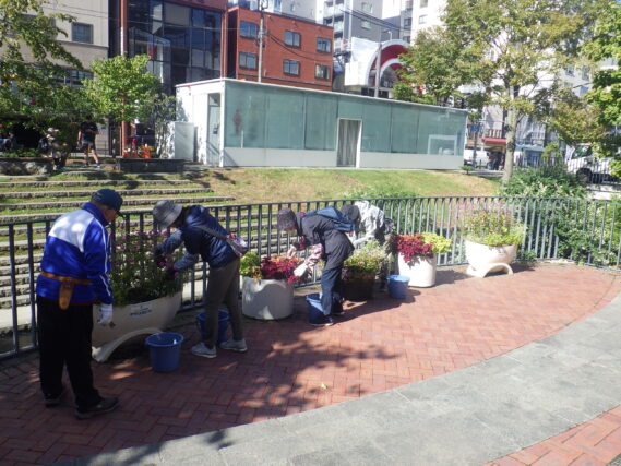 狸二条コンテナ花壇のお手入れをする花くらぶ