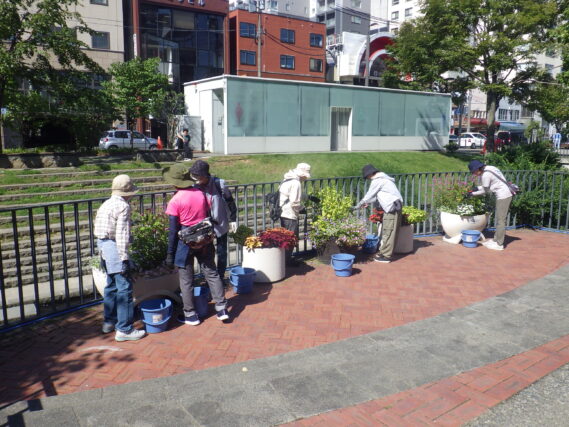 狸二条広場のコンテナ花壇のお手入れをする花くらぶ