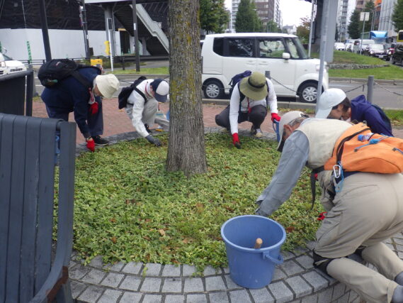 円形ますの除草をするお助け隊