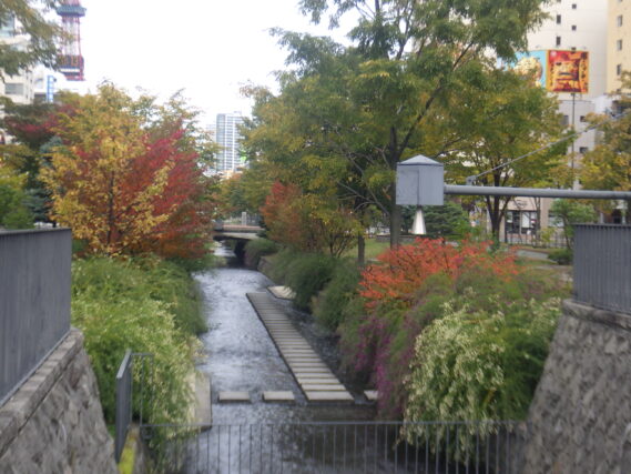 南4条の紅葉とハギ