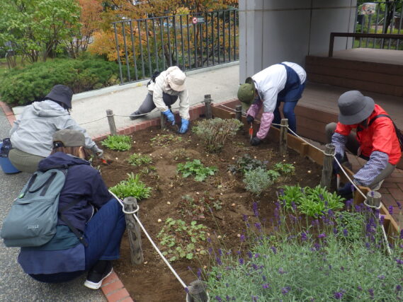 「公園ボランティア「花くらぶ」今年度の活動終了」の画像