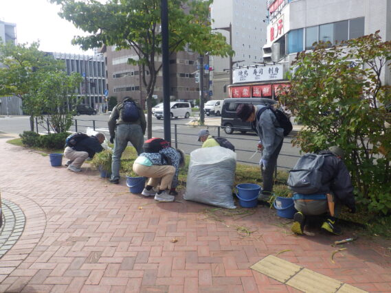 「「植物ボランティア」今年度の外作業終了」の画像