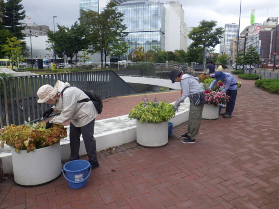 大通ブロックのコンテナ花壇のお手入れをする花くらぶ