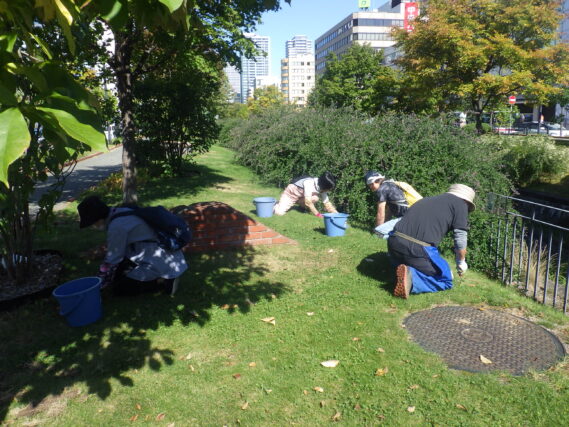 「「除草ボランティア」今年度の活動終了」の画像