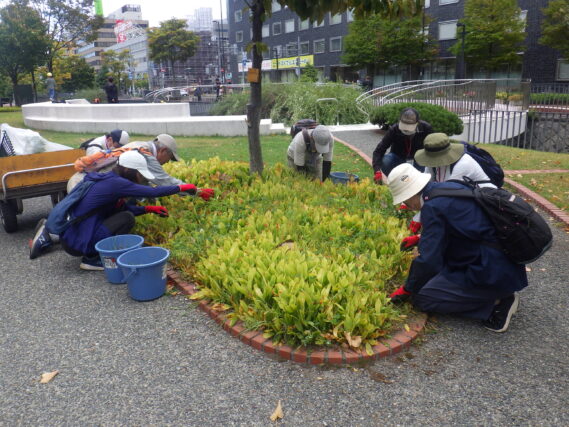 花壇の除草をするお助け隊
