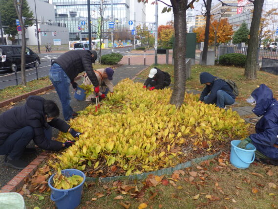 大通ブロックでスズランの刈込みをするお助け隊