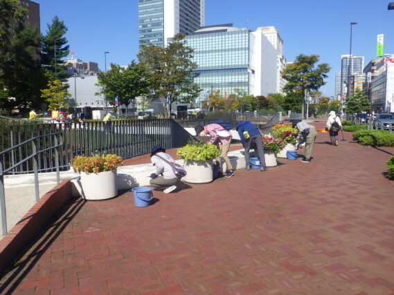 まんなか広場コンテナ花壇のお手入れをする花くらぶ