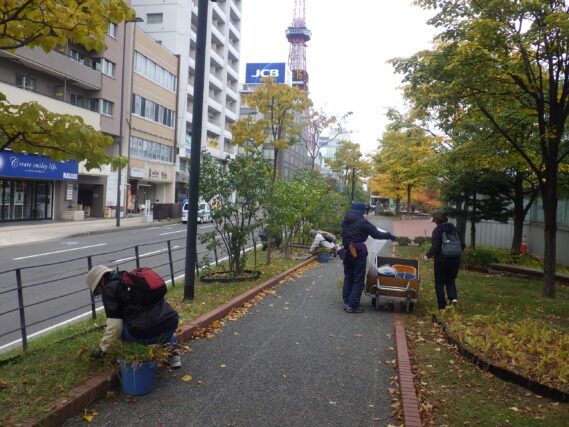 南2条でヘメロカリスの刈込み作業をする植物ボランティア