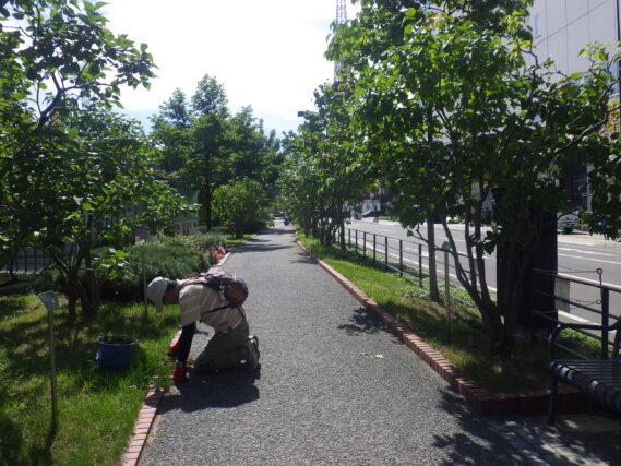 園路の除草をするお助け隊