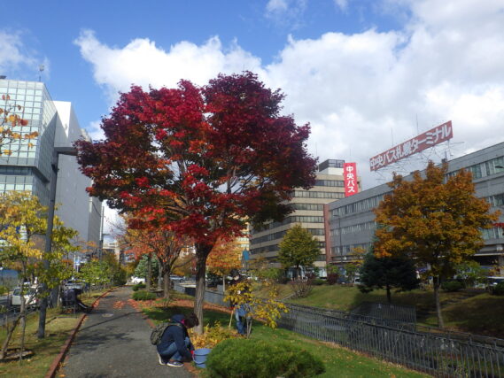 「「お助け隊」今年度の外作業終了」の画像