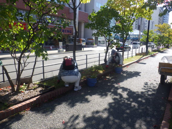 南2条でヘメロカリスの刈込み作業をする植物ボランティア