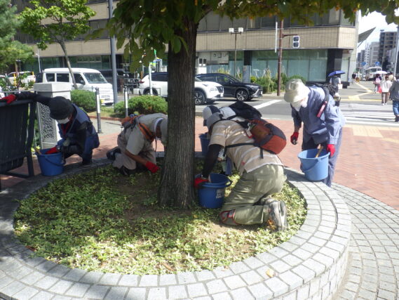 円形ますの除草をするお助け隊