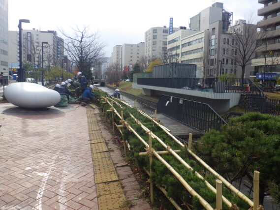 「樹木の冬囲いが始まりました」の画像