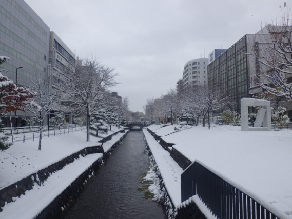 「雪が積もりました」の画像