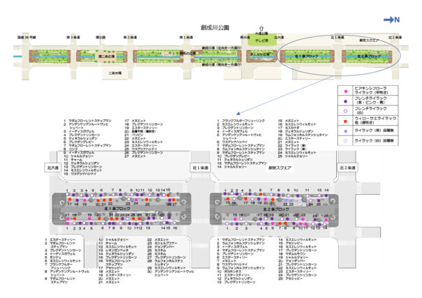 北1条と北2条のライラックの位置図