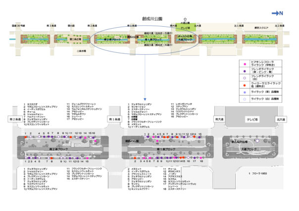 南2条と南1条及び大通ブロックのライラックの位置図