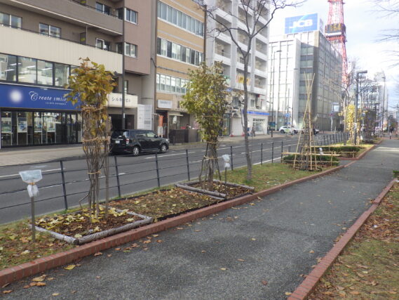 「冬の準備が進んでいます」の画像