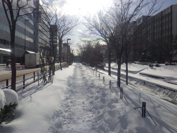 南1条東側の園路の様子