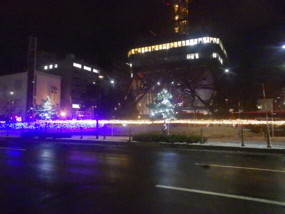 樹木に付けられたイルミネーションの様子