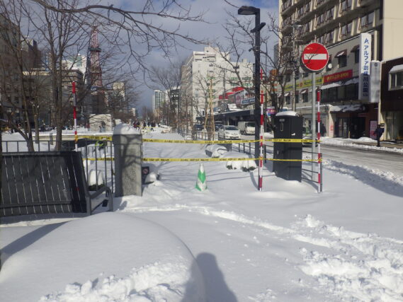 南3条東側の園路を閉鎖した状況の画像