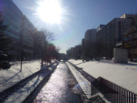 12月4日の雪が降り積もった南1条の様子