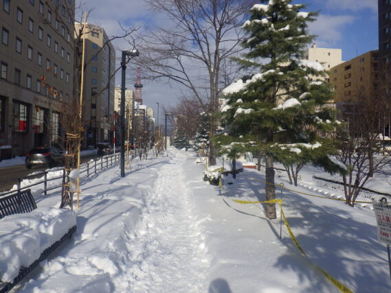 南4条西側の園路の様子