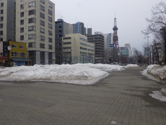 3月23日の狸二条広場の様子