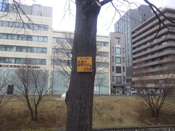 植物ボランティアの活動で取り付けた樹名板