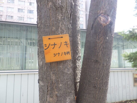 植物ボランティアが取り付けた樹名板