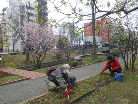 花壇の除草をするお助け隊