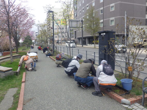 花壇と園路の除草をするお助け隊