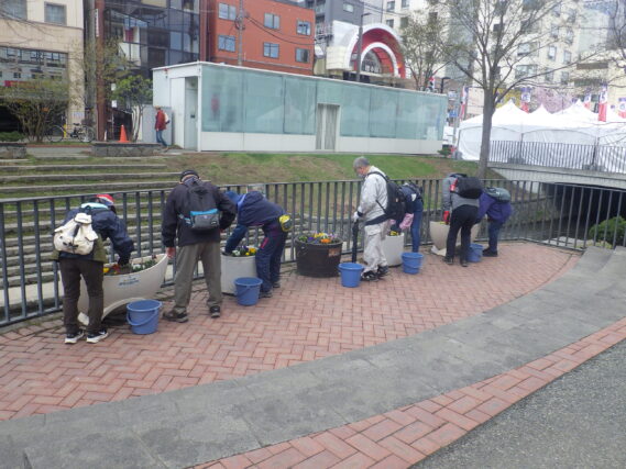 狸二条広場のコンテナプランターのお手入れをする花くらぶ