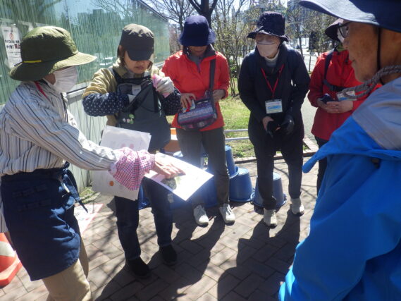 夏にコンテナに植えこむ花を相談する花くらぶのメンバー