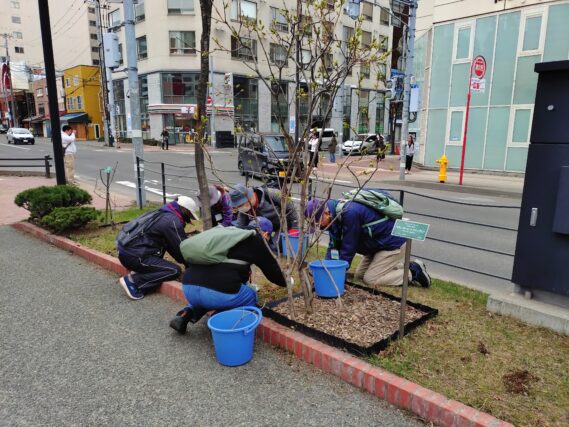 南2条で花壇の除草をするお助け隊